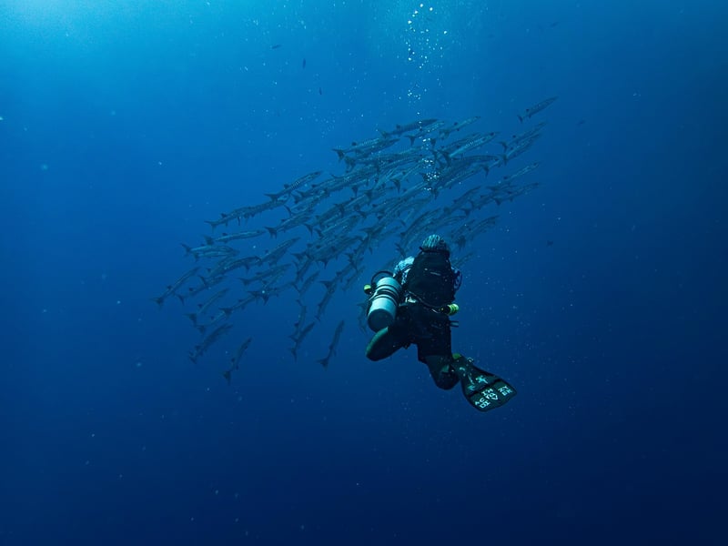 Diving Destination
